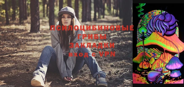 гидра Нягань