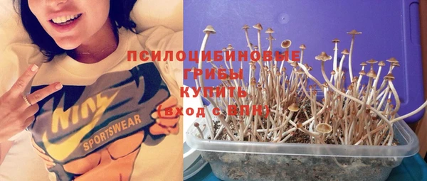 гашиш Няндома